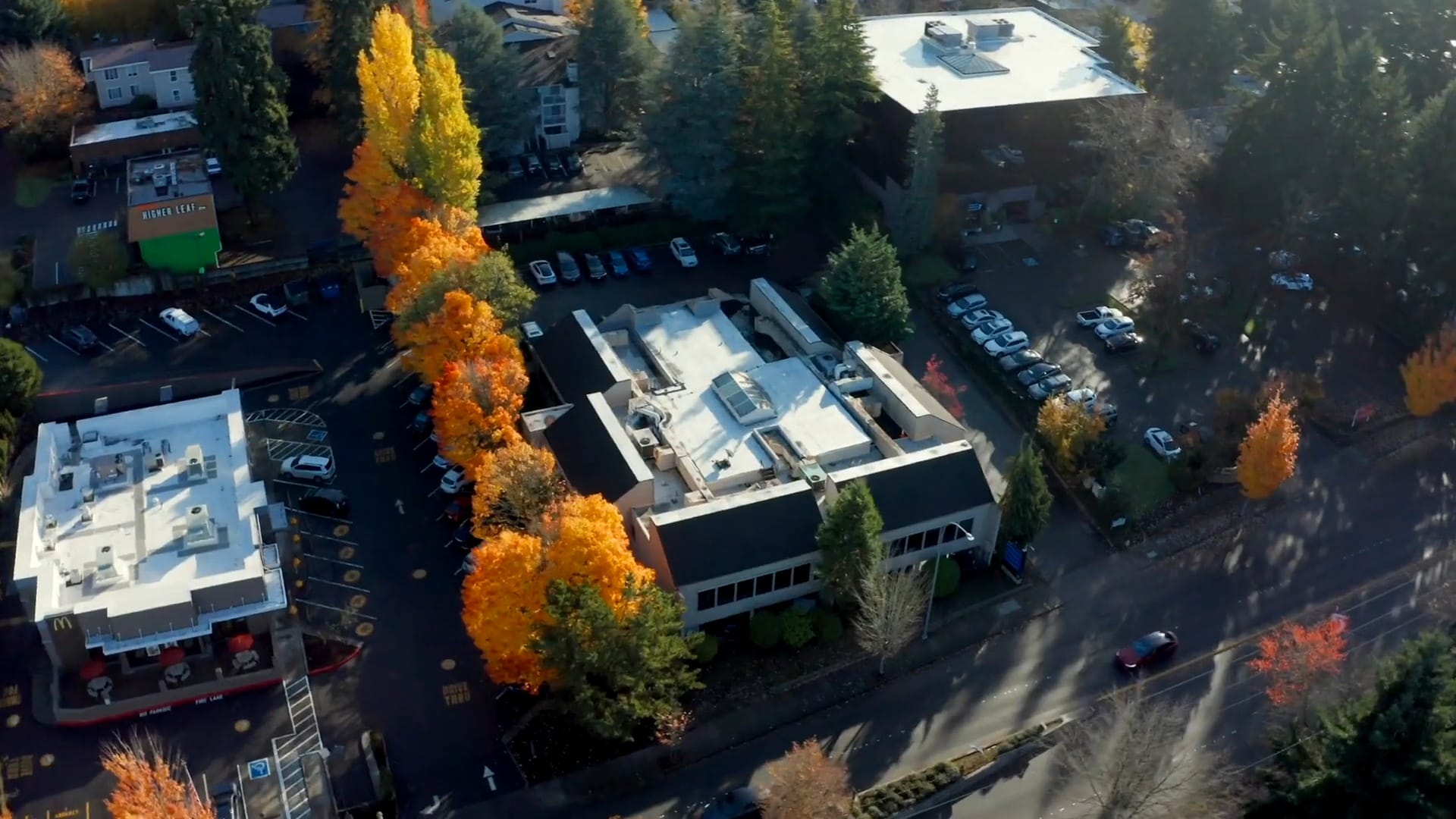 Welcome to Factoria Orthodontics in Bellevue, WA